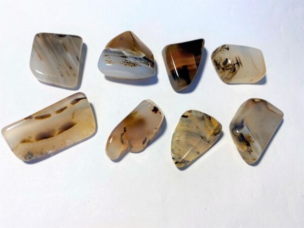 Agat - Montana "A"