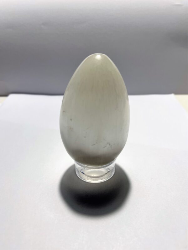 Selenit ägg