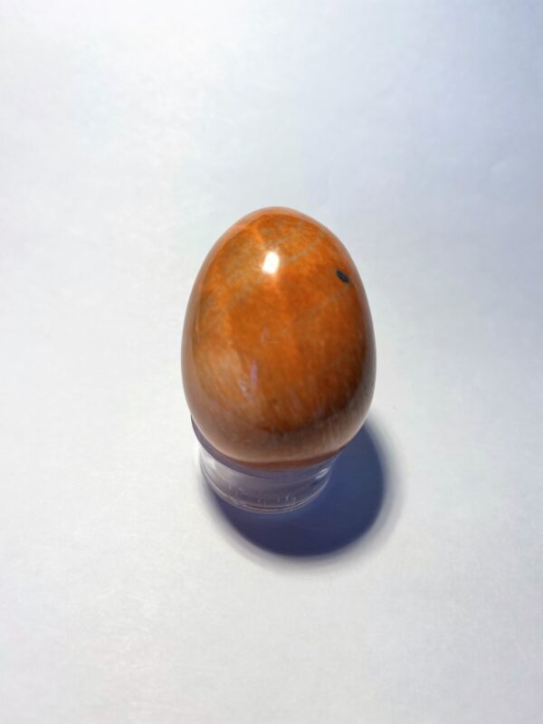 Celestobarit - Ägg