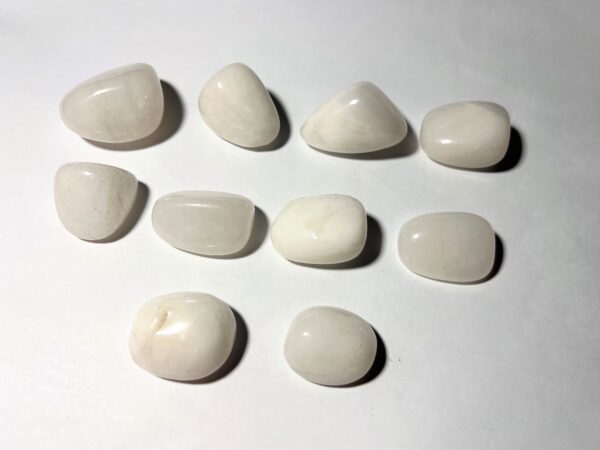 Onyx - Vit