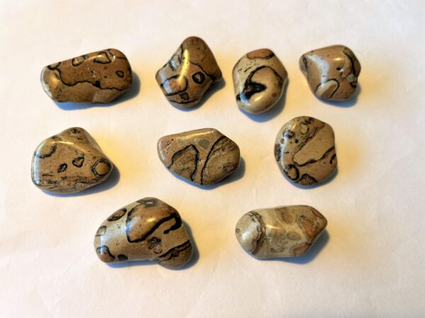 Breccia Vulkanisk "B"