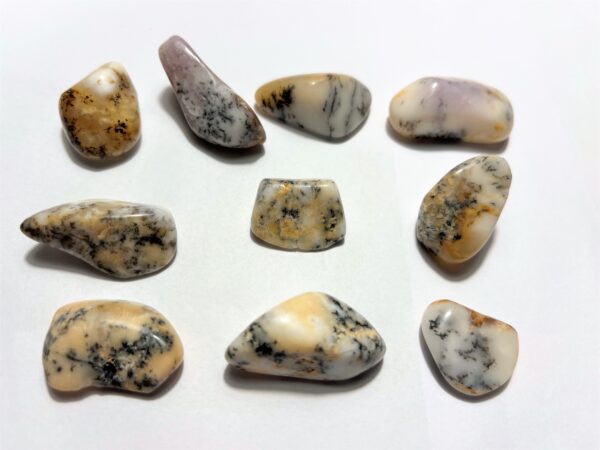 Opal - Dendrit