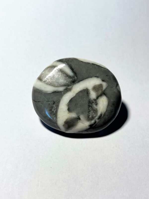 Jaspis - Skal (Shell)