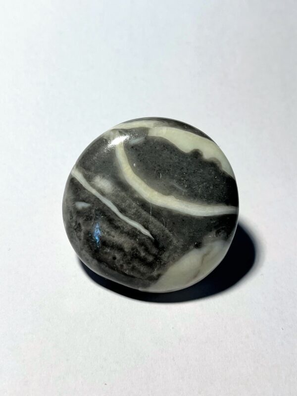 Jaspis - Skal (Shell)