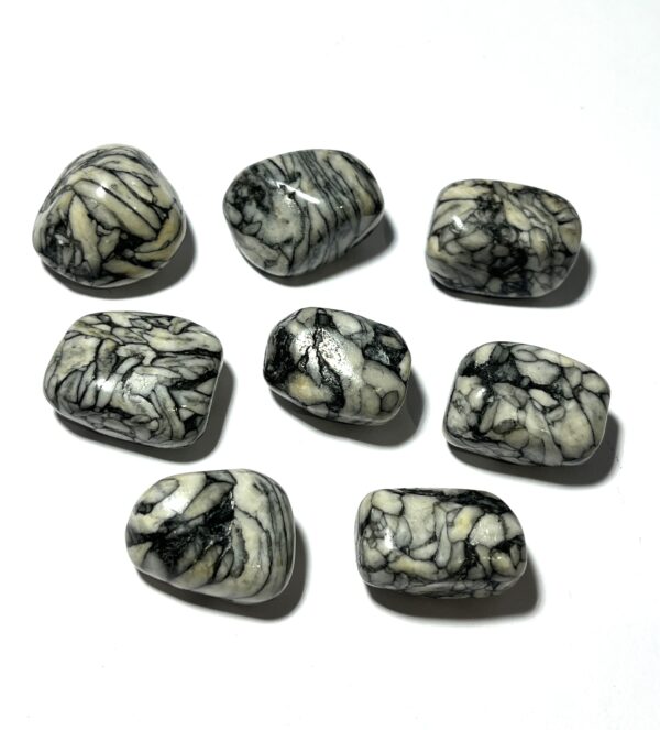 Pinolith